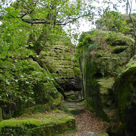 In Weibig Mit Garten 아파트 *